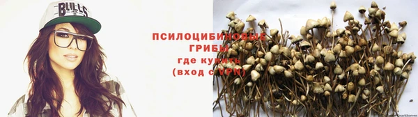 ГАЛЛЮЦИНОГЕННЫЕ ГРИБЫ Балабаново