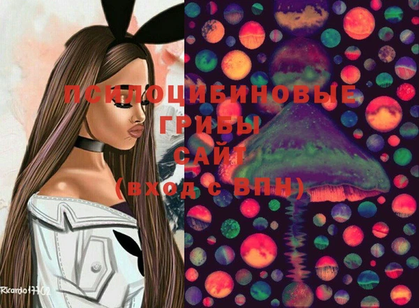 бошки Армянск