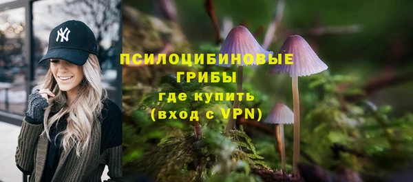 ГАЛЛЮЦИНОГЕННЫЕ ГРИБЫ Балабаново