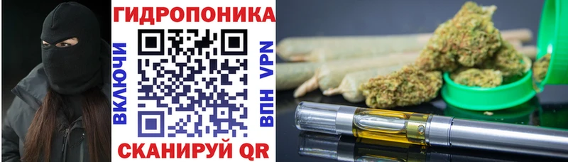 Шишки марихуана Amnesia  Купино 